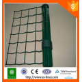 ПВХ зеленый цвет RAL6005 Евро забор / Голландия сетка забор